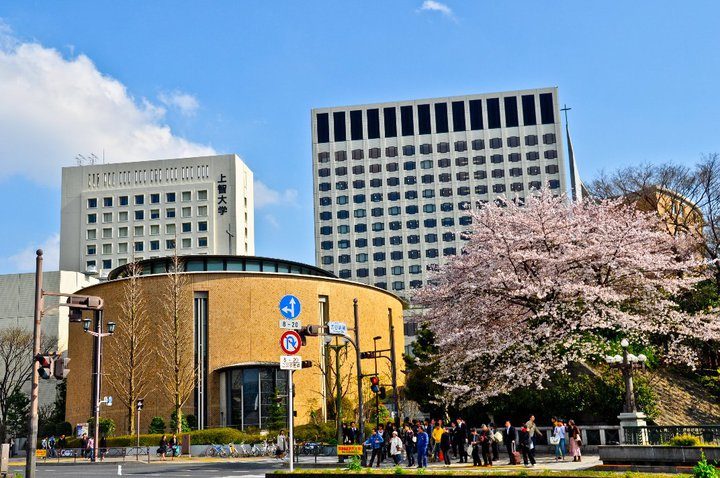 Sophia University Yotsuya campus with cherry blossoms